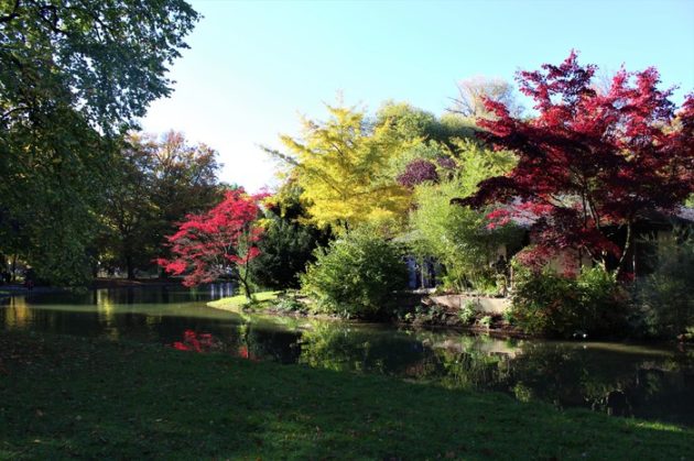 Englischer Garten